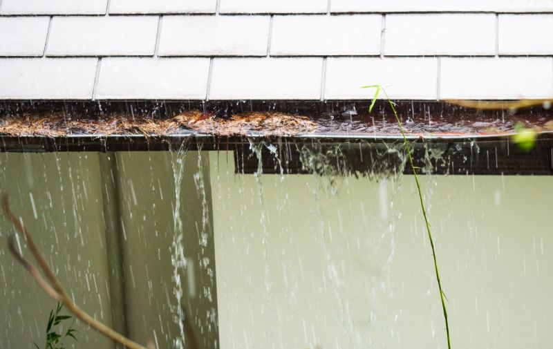 Clogged Gutter Risks