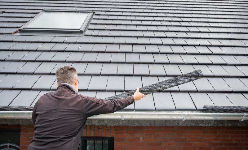Preventative Gutter Measures