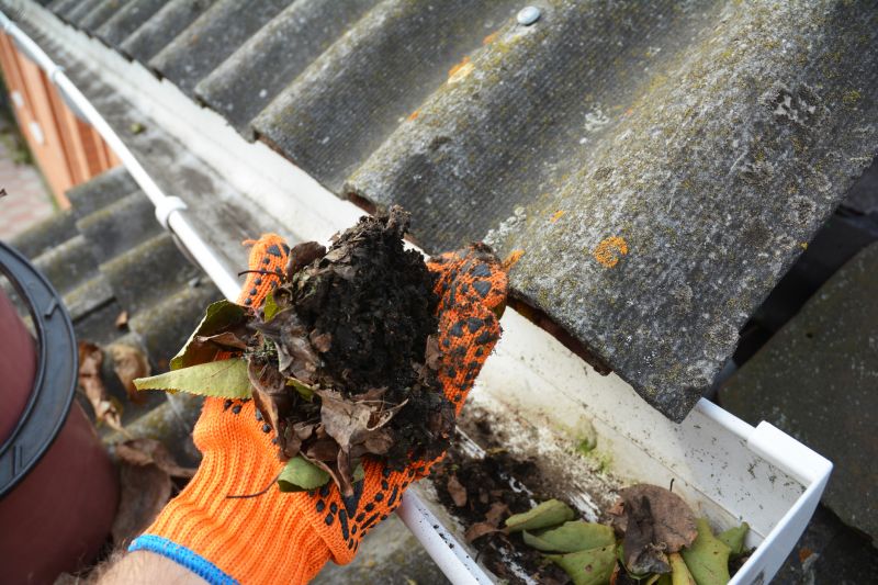 Gutter Cleaning