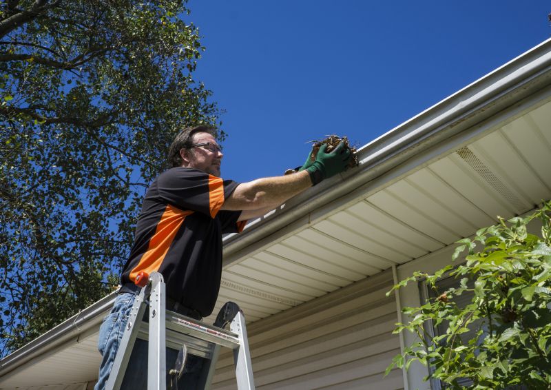 Gutter Service Image 1
